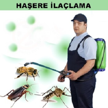 Demirköy Böcek İlaçlama